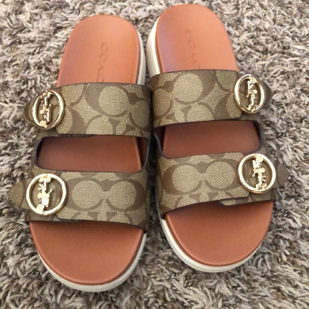 Coach Slides